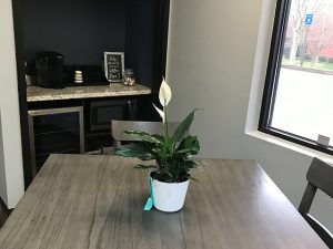 Ozzi’s Automotive